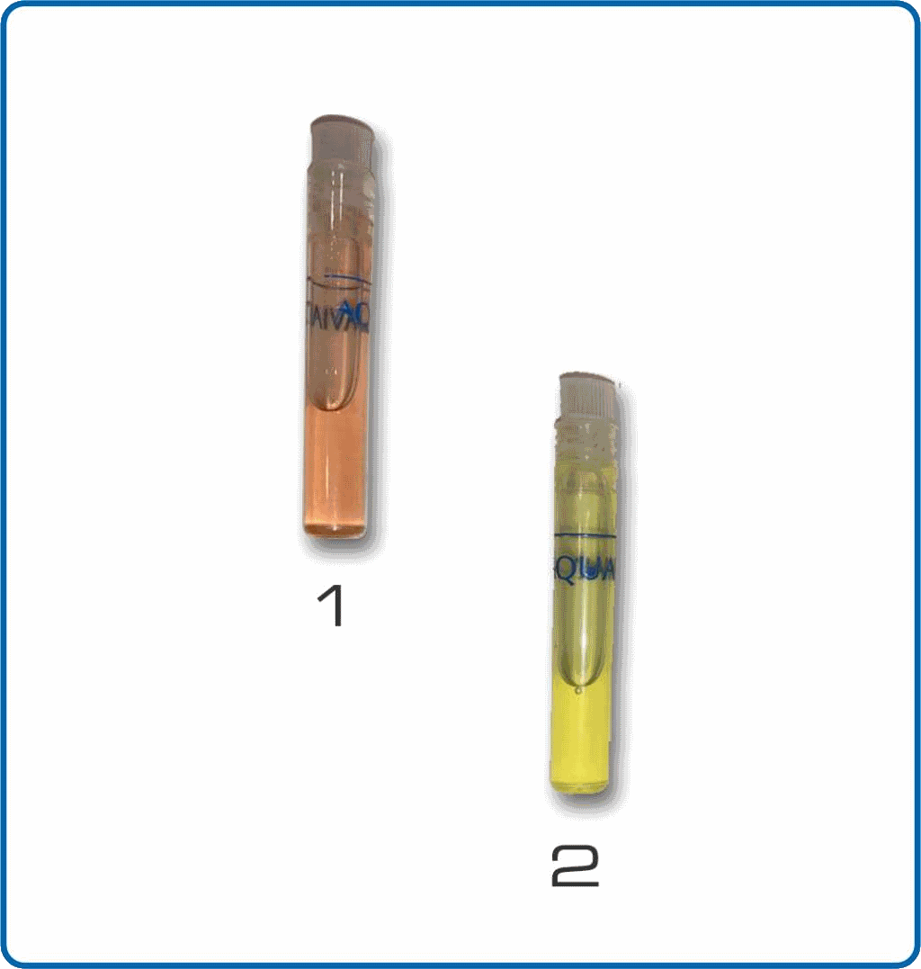 BenzingWaterTechnology_Wasserproben_PalmBeach_white 3